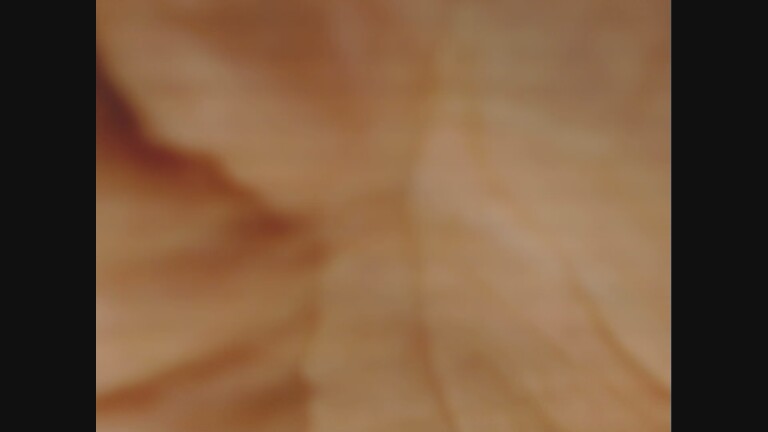 Dominica39's Streamate show and profile